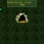 bluffingdamacy.yorniq.xyz avatar