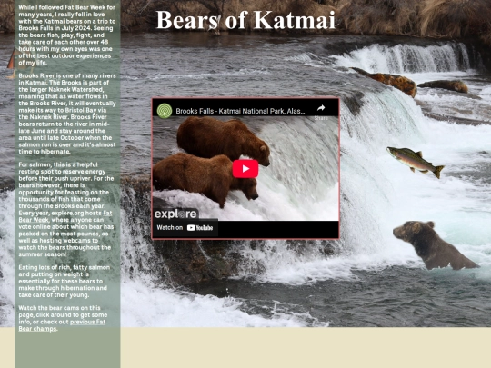bears screenshot