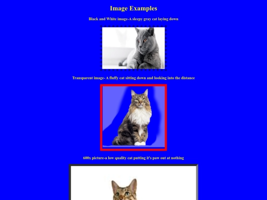 images_topic/imageexamples screenshot