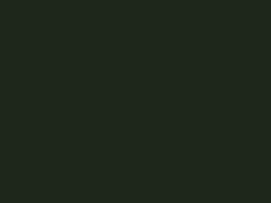 AdoptableCats screenshot