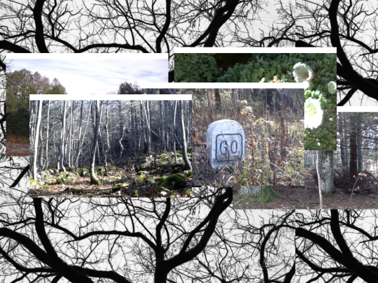 where/where screenshot