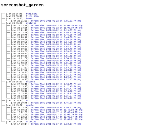 html screenshot