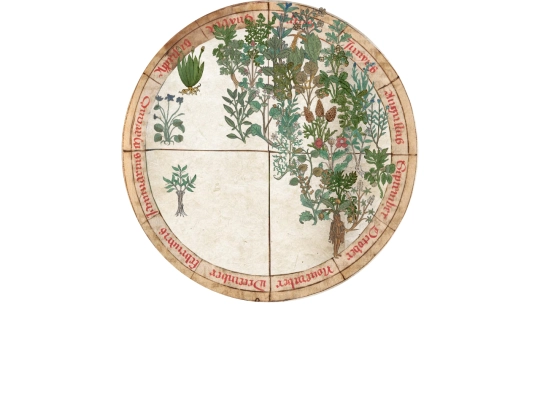 monastery/library/herbarium/calendar-harvesting screenshot