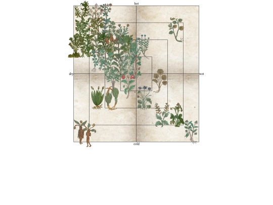monastery/library/herbarium/quadrants screenshot