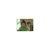 azer.yorniq.xyz avatar