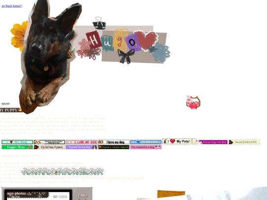 hugo screenshot