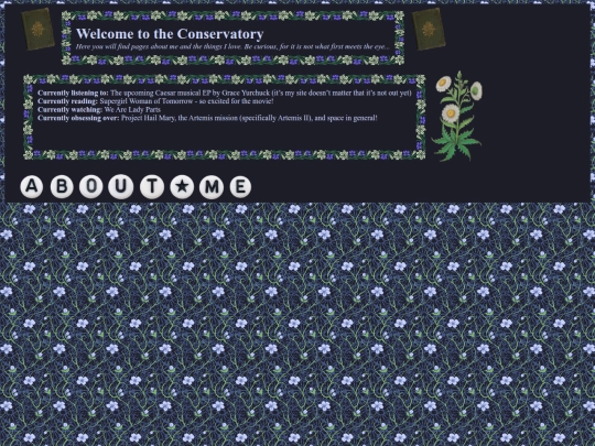 home-page/home screenshot