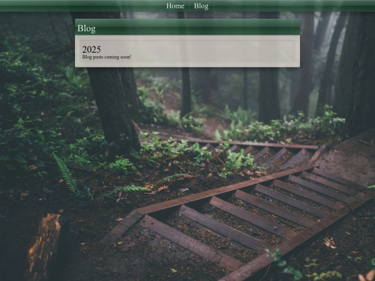 blog screenshot