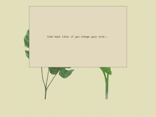 no screenshot