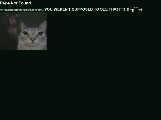 not_found screenshot