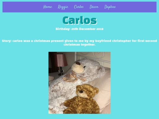 images/website folder/carlos screenshot