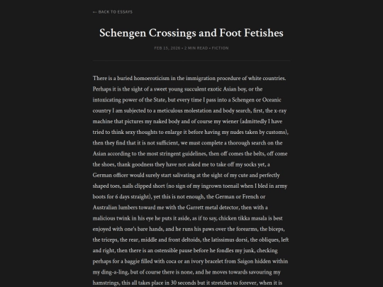essays/schengen screenshot