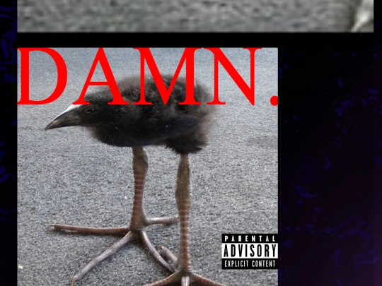 pukeko screenshot