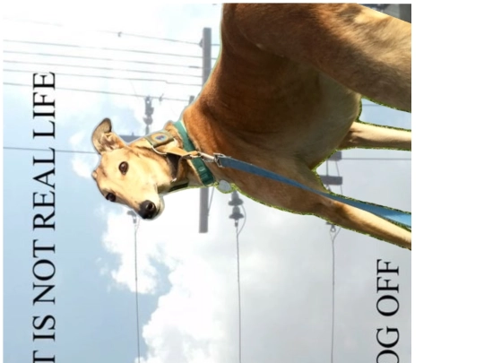 about_me screenshot