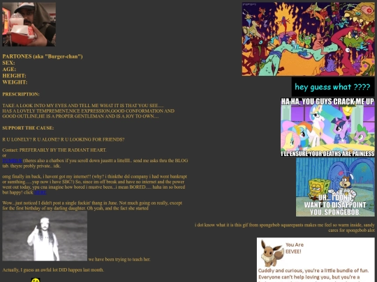 webmaster screenshot