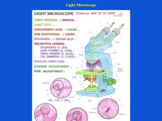 microbiology screenshot