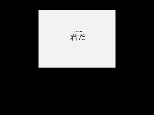 stop screenshot