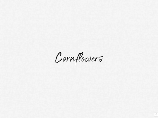 stories/hetalia/cornflowers screenshot
