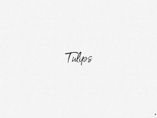 stories/hetalia/tulips screenshot