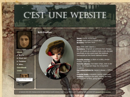 bjdprofiles screenshot