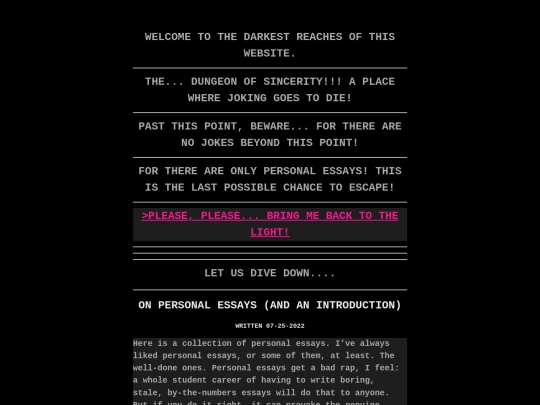 essays screenshot