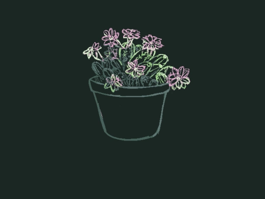 home screenshot