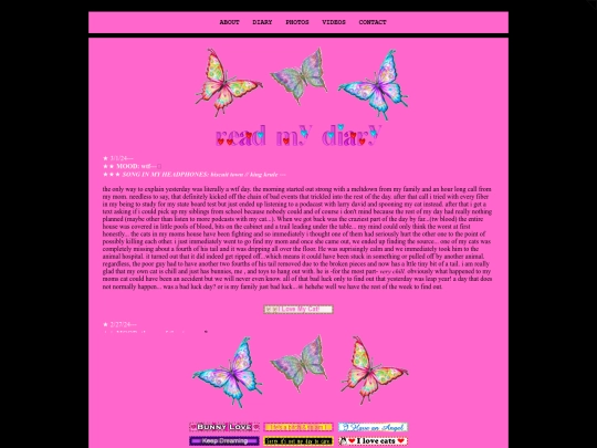 diary screenshot