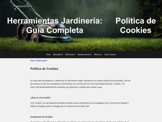 politica-cookies screenshot