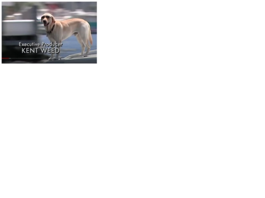bark screenshot
