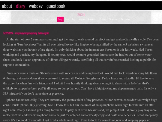diary screenshot