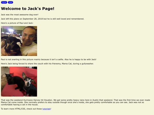jack screenshot