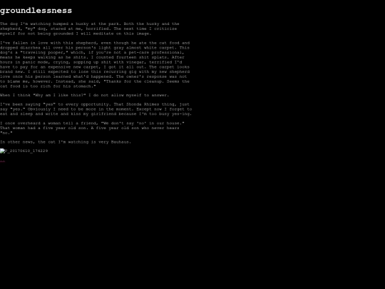diary/groundlessness screenshot