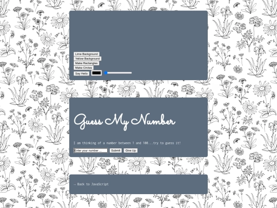 jsInteraction screenshot