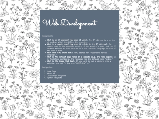 webDev screenshot