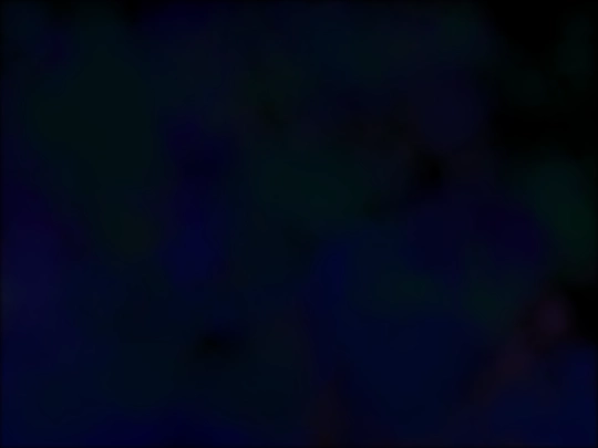 bgtest screenshot