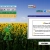 asleepingsunflower.yorniq.xyz avatar