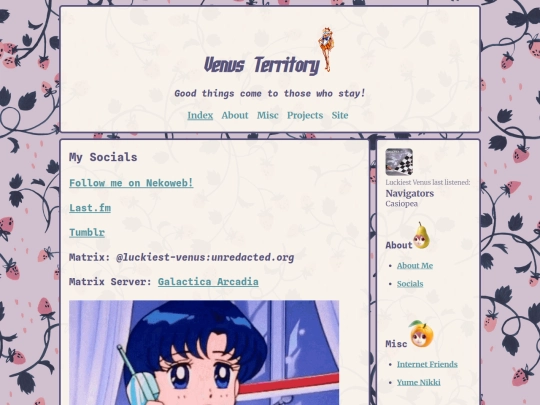 about/socials screenshot