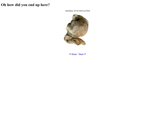 blog/blog screenshot