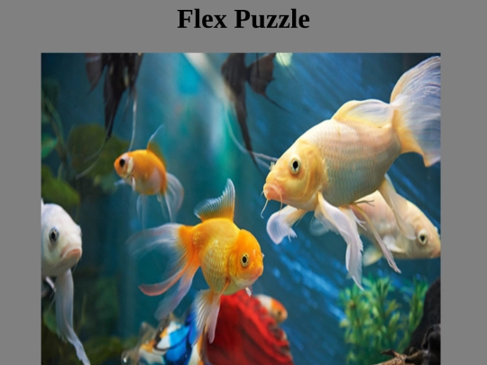 FLexx screenshot