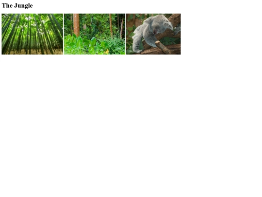 Jungles-gallery screenshot