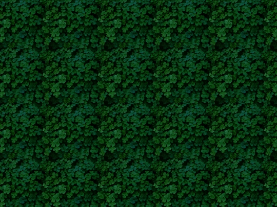 practice screenshot
