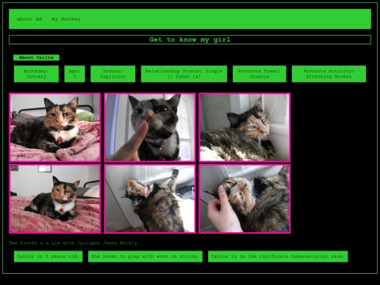 mymonkey screenshot