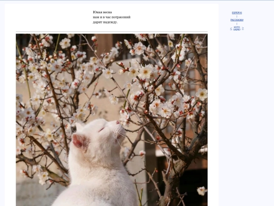 rus/skaz/neko screenshot