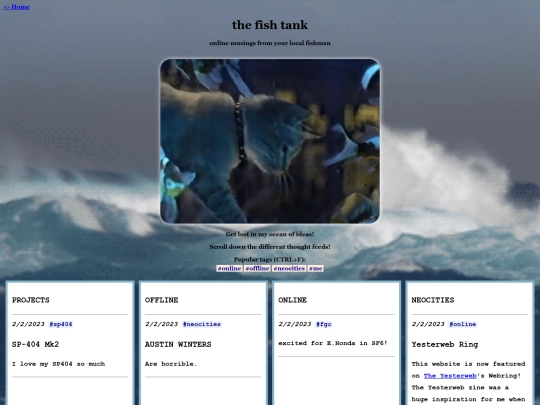 shitposting screenshot