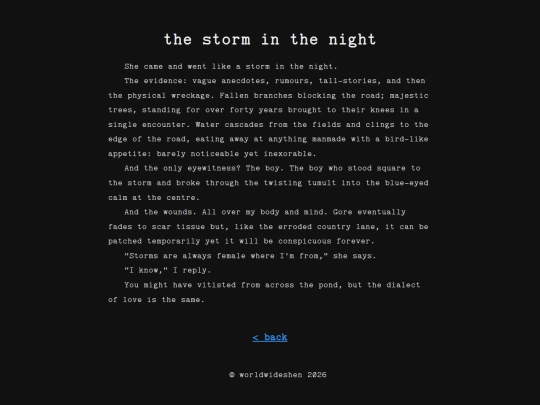 writing/the-storm-in-the-night screenshot