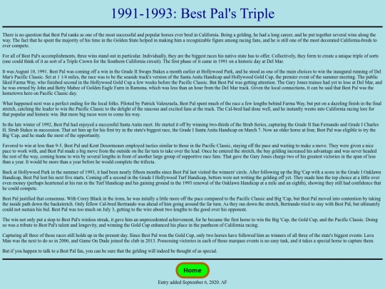 Achievements/1990s/BestPalTriple screenshot
