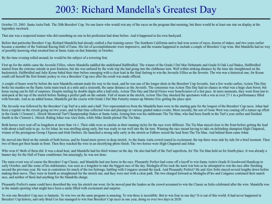 Achievements/2000s/2003BreedersCup screenshot
