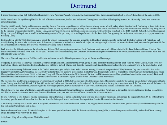 Horses/D/Dortmund screenshot