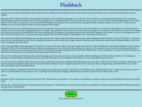 Horses/F/Flashback screenshot