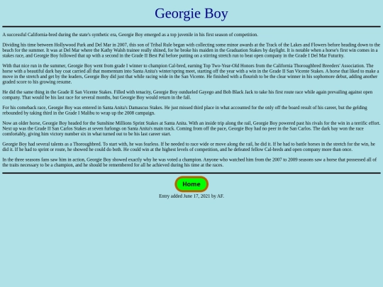 Horses/G/GeorgieBoy screenshot